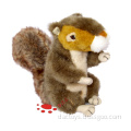 Squirrel Character ​Plush Stuffed Pets Toys